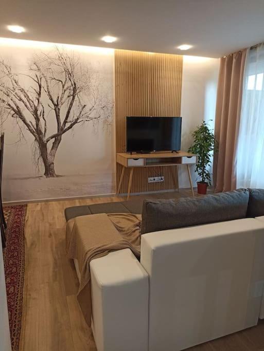 Tres Bel Appartement Rez De Jardin Appart De 53M2. Pfastatt Exteriér fotografie