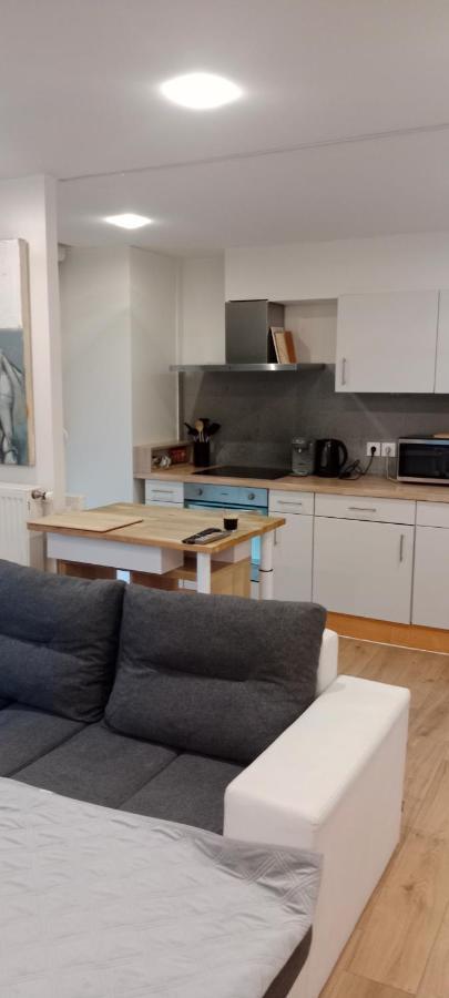 Tres Bel Appartement Rez De Jardin Appart De 53M2. Pfastatt Exteriér fotografie